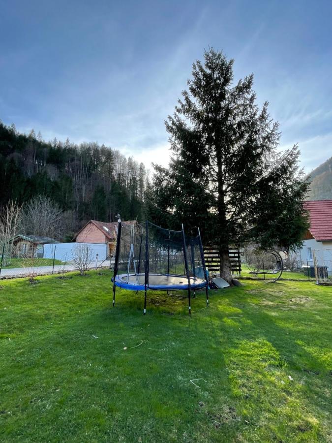 Chalet Falkenstein Steyrling Exterior foto